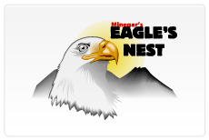 Custom Logo 2