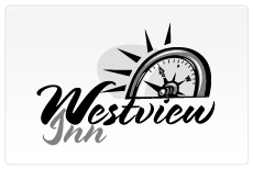 Custom Logo 17
