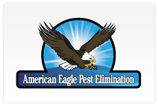Custom Logo 22